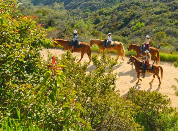 Historical Hollywood Walking Tour