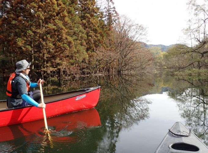 National Parks Tour One Day